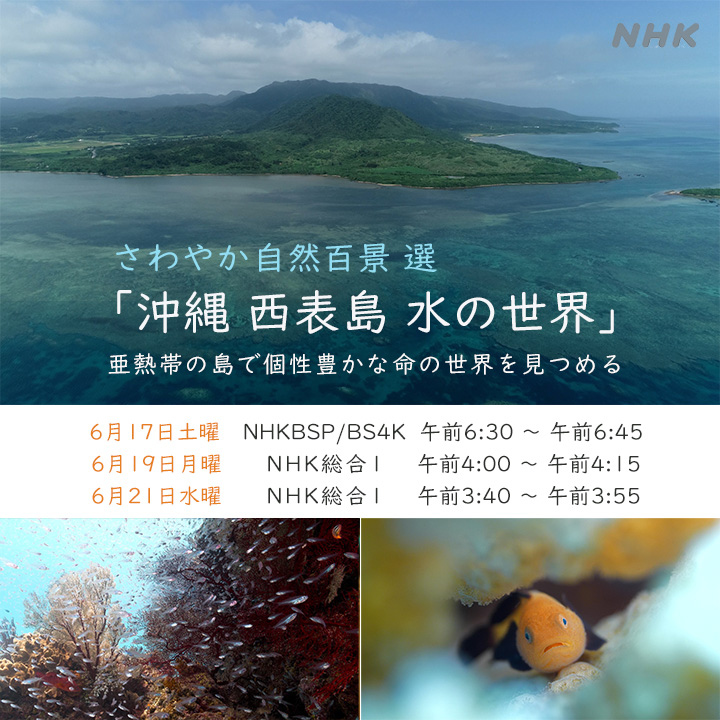 さわやか自然百景 選「沖縄 西表島 水の世界」再放送のお知らせ！ | 日本水中映像